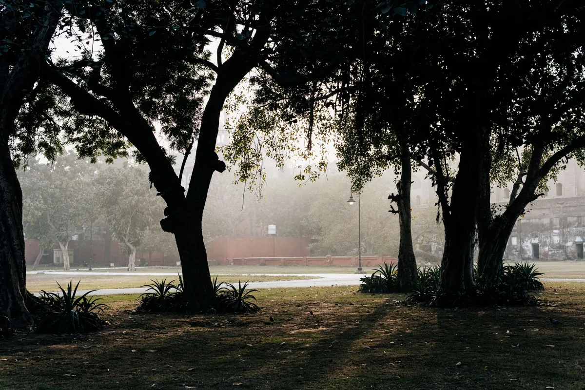 PTSD and trauma therapy in Greenwich — a calm, everyday scene