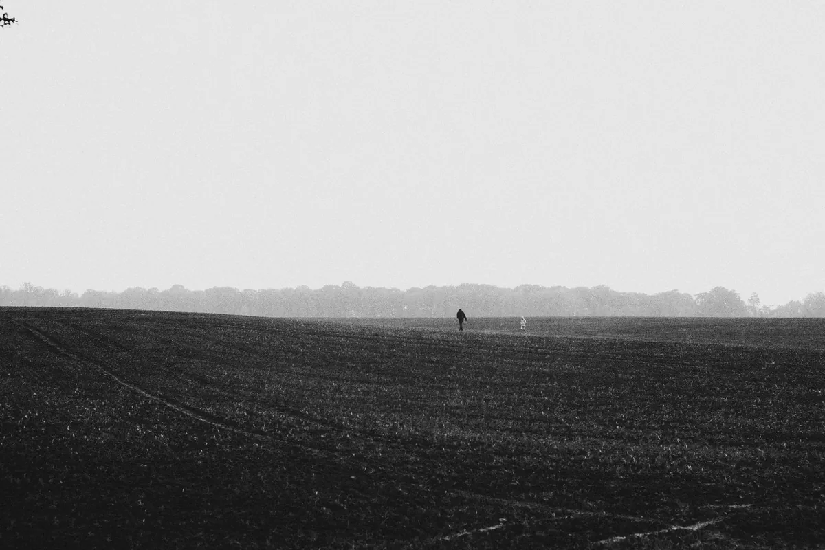 Acceptance and Commitment Therapy (ACT) — a calm, everyday scene