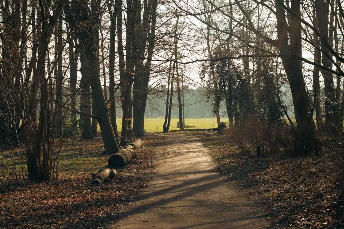 Trauma-focused CBT — a calm, everyday scene